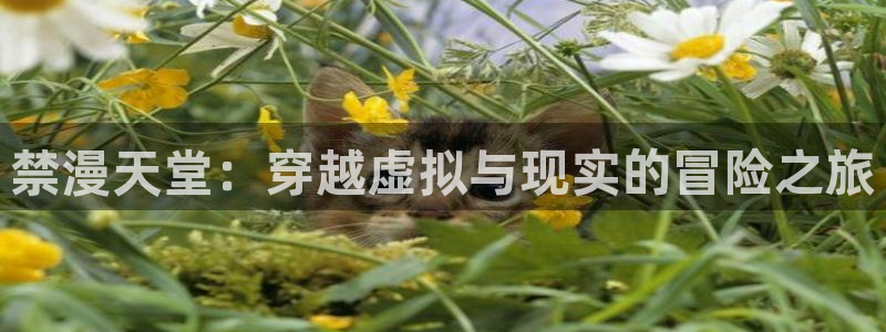 omofun动漫网页