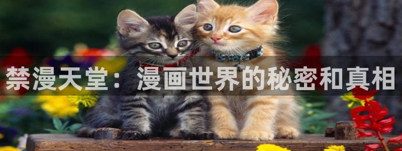 omofun动漫官网在线观看