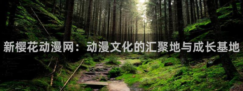 omofun官方网站app下载