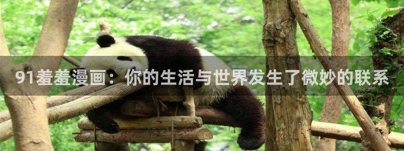 omofun正版app下载