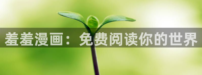 风车动漫下载
