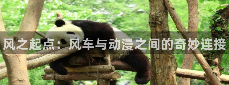 omofun动漫网官网