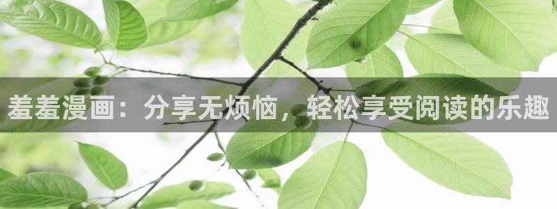 omofun 官网