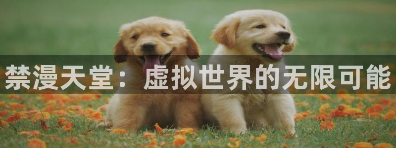 omofun最新官方下载