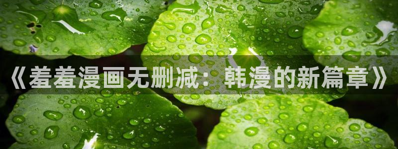 omofun链接