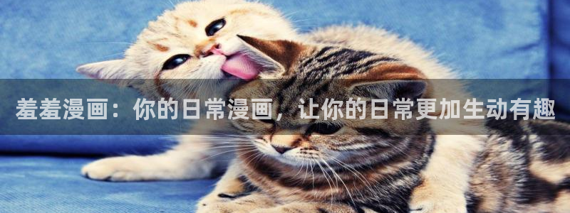 omofun是正经软件吗