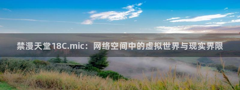 omofun动漫免费看：禁漫天堂18C.mic：网络空间中的虚拟世界与现实界限
