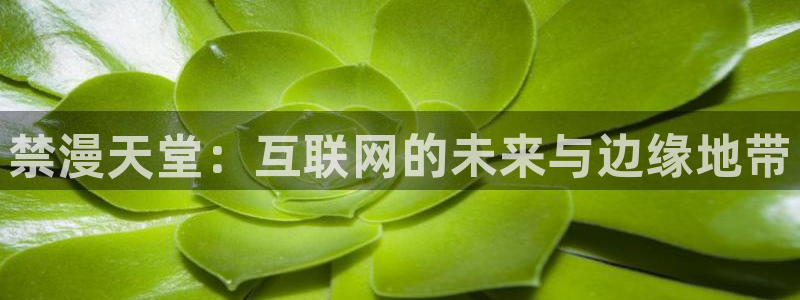omofun动漫软件：禁漫天堂：互联网的未来与边缘地带